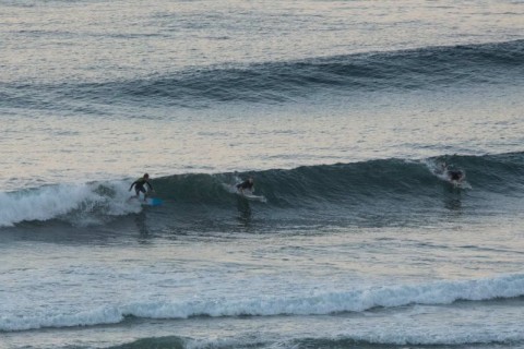 dy surfers