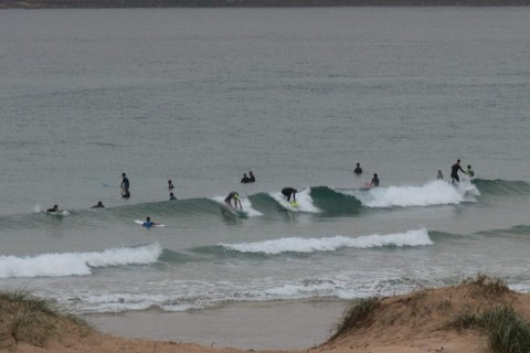 freshwater surfers