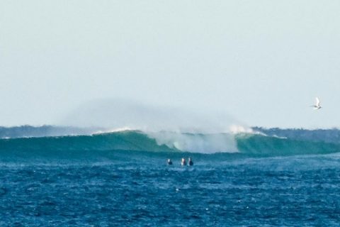 lennox head surfers