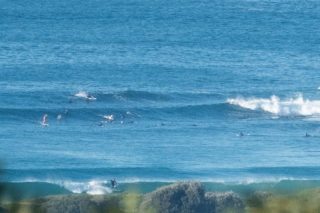 dy point surfers