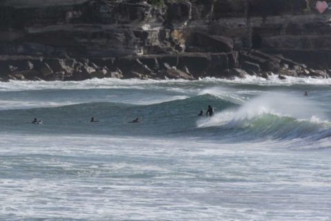 Queenscliff surfers